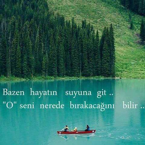 Şirin Kara (@sirinkara6) on Twitter photo 