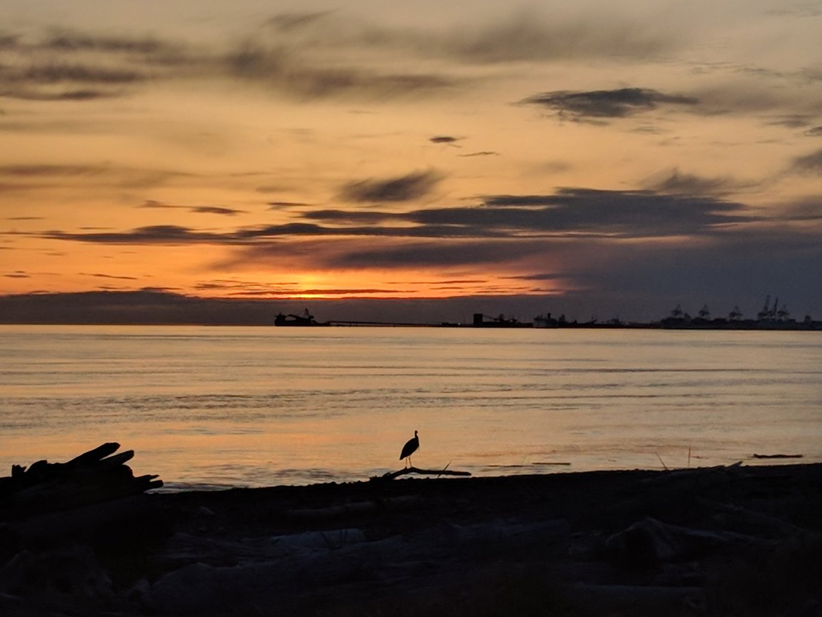 MuketyMuk's tweet image. #PointRoberts #LighthousePark calm to light westery winds 15C amazing  wave clouds and a #GreatBlueHeron #SongBirds #BCStorm #WAWX