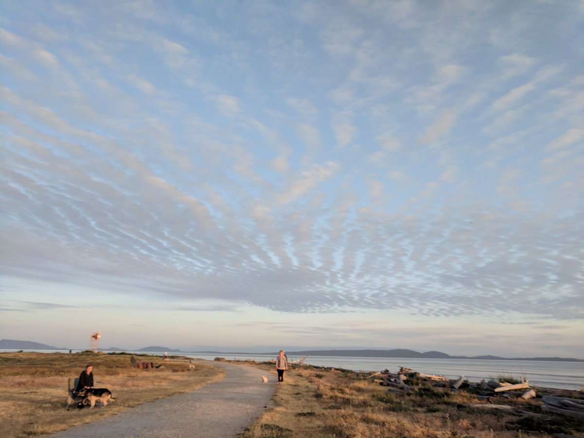 MuketyMuk's tweet image. #PointRoberts #LighthousePark calm to light westery winds 15C amazing  wave clouds and a #GreatBlueHeron #SongBirds #BCStorm #WAWX
