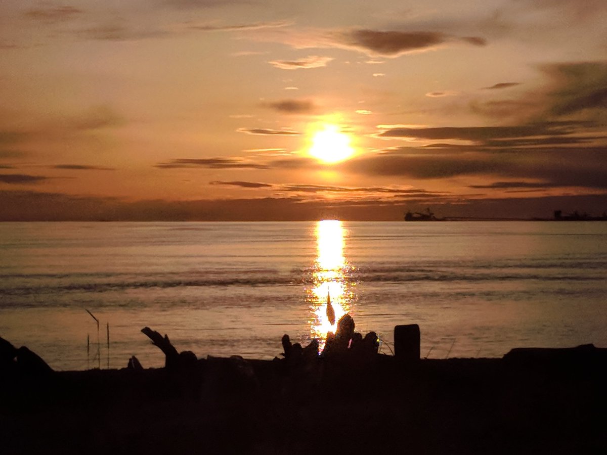 MuketyMuk's tweet image. #PointRoberts #LighthousePark calm to light westery winds 15C amazing  wave clouds and a #GreatBlueHeron #SongBirds #BCStorm #WAWX