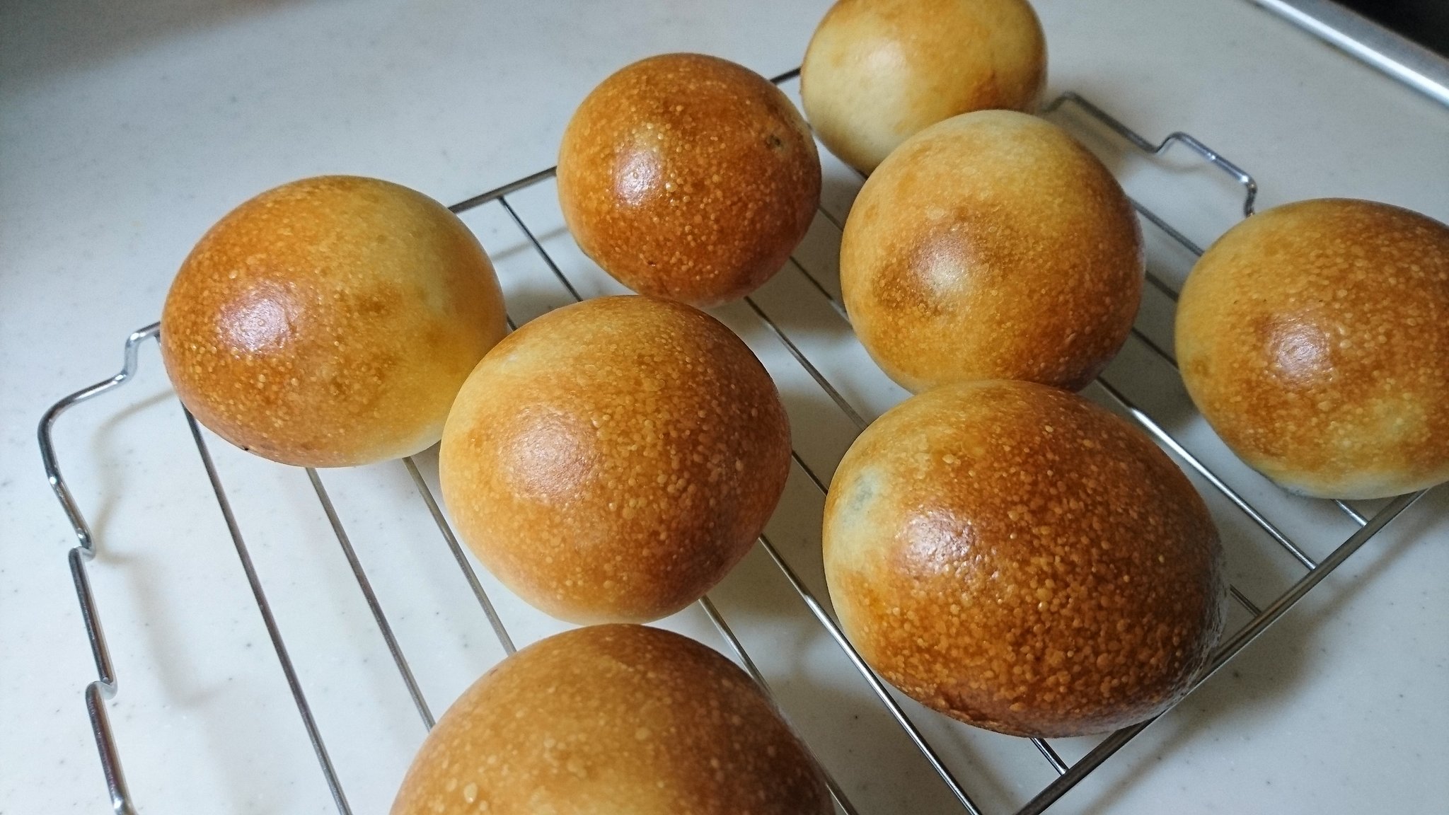 ゆぅふ レーズンパン またまた フィッシュアイ パン 手作りパン おうちパン 手捏ね 石窯ドーム パン作り パン作り好きな人と繋がりたい T Co 9lkxkmduoe Twitter