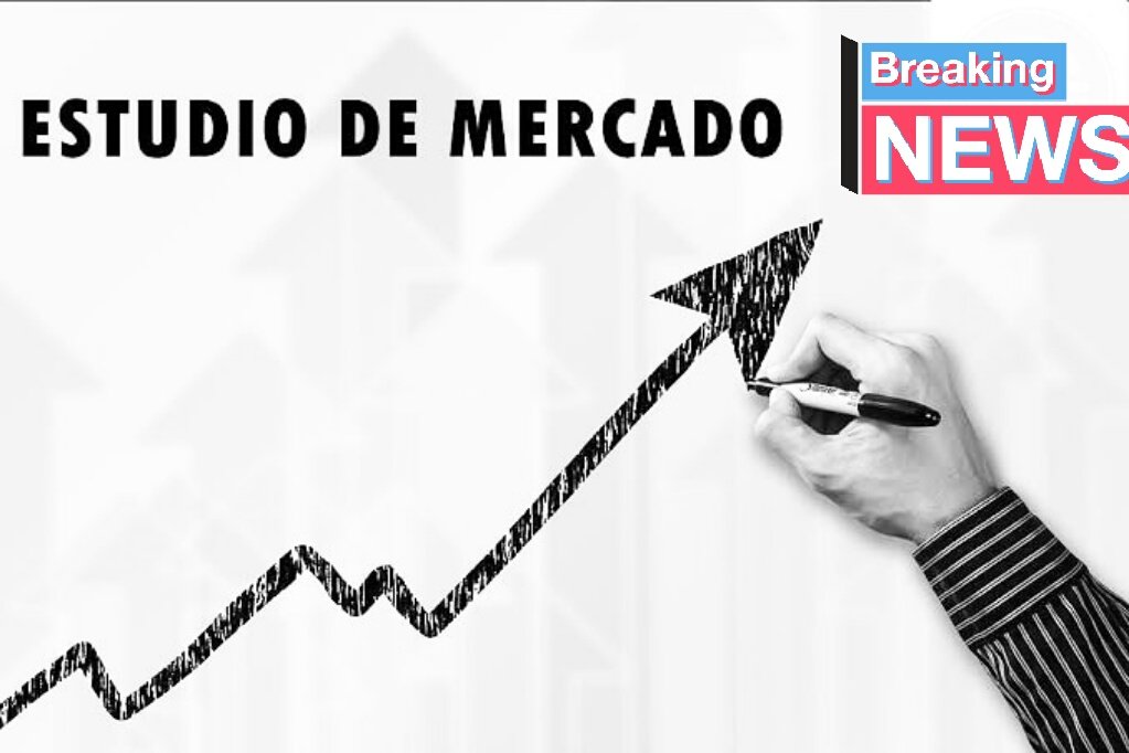 A las empresas que están o piensan entrar en el mercado de la hermosa ciudad de Mérida, tenemos a la venta un estudio de mercado general, o si deseas lo adaptamos al giro de tu negocio o lo hacemos exclusivo según los objetivos de crecimiento que tengas, pregunta sin compromiso.