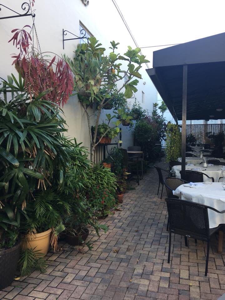 PLANT SALE!
Thur &amp; Friday 
May 31 &amp; June 1,
9am - Noon!
Beautiful tropical foliage with gorgeous planters included...palms, ferns, crotons &amp; Orchids too! Great prices. Bring your truck or trailer if you
want the big ones!
Please share &amp; retweet