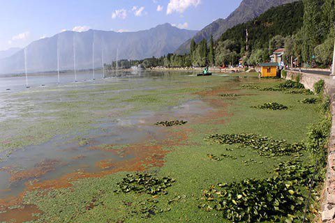 GreaterKashmir's tweet photo. #Dalconservation goals not achieved, says High Court https://t.co/BzBRQMoOpL https://t.co/1RAtzYawmD