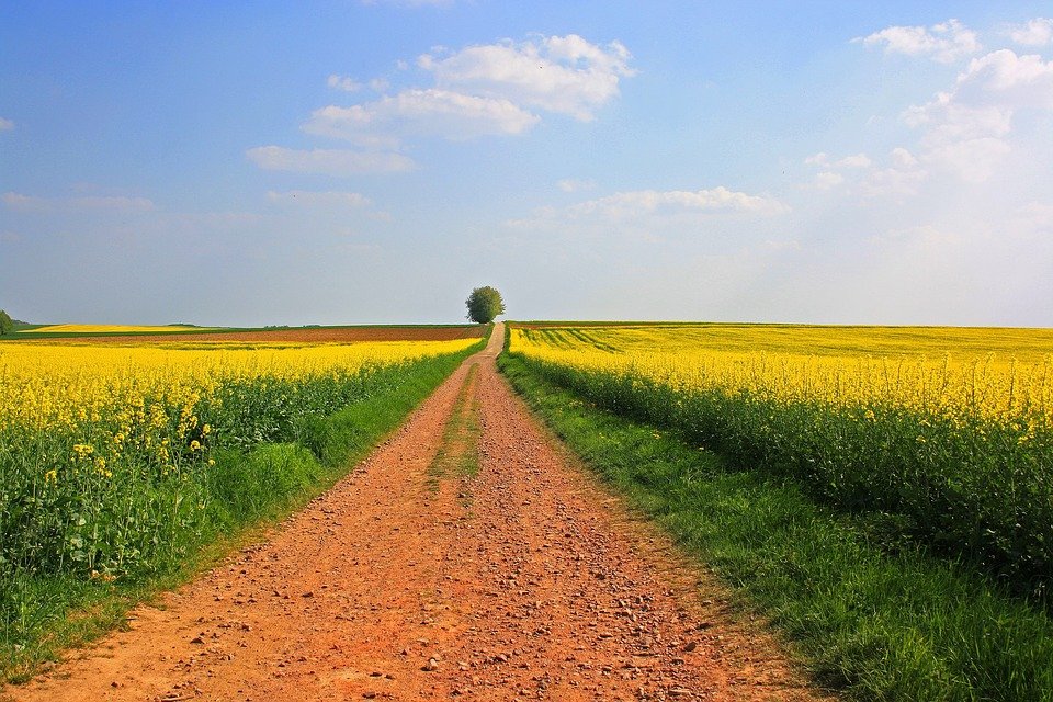HHLandEstates's tweet photo. A-Z! L is for Letting. At H&H Land and Property, we have a dedicated sales team and agency, located in any one of our offices, who can assist with a sale or letting of land, farm or equine property – no matter the size. #HHLP #farming365 #myFG #Farm24 #FarmingUK #A-Z #Letting https://t.co/gMJwCULHIY