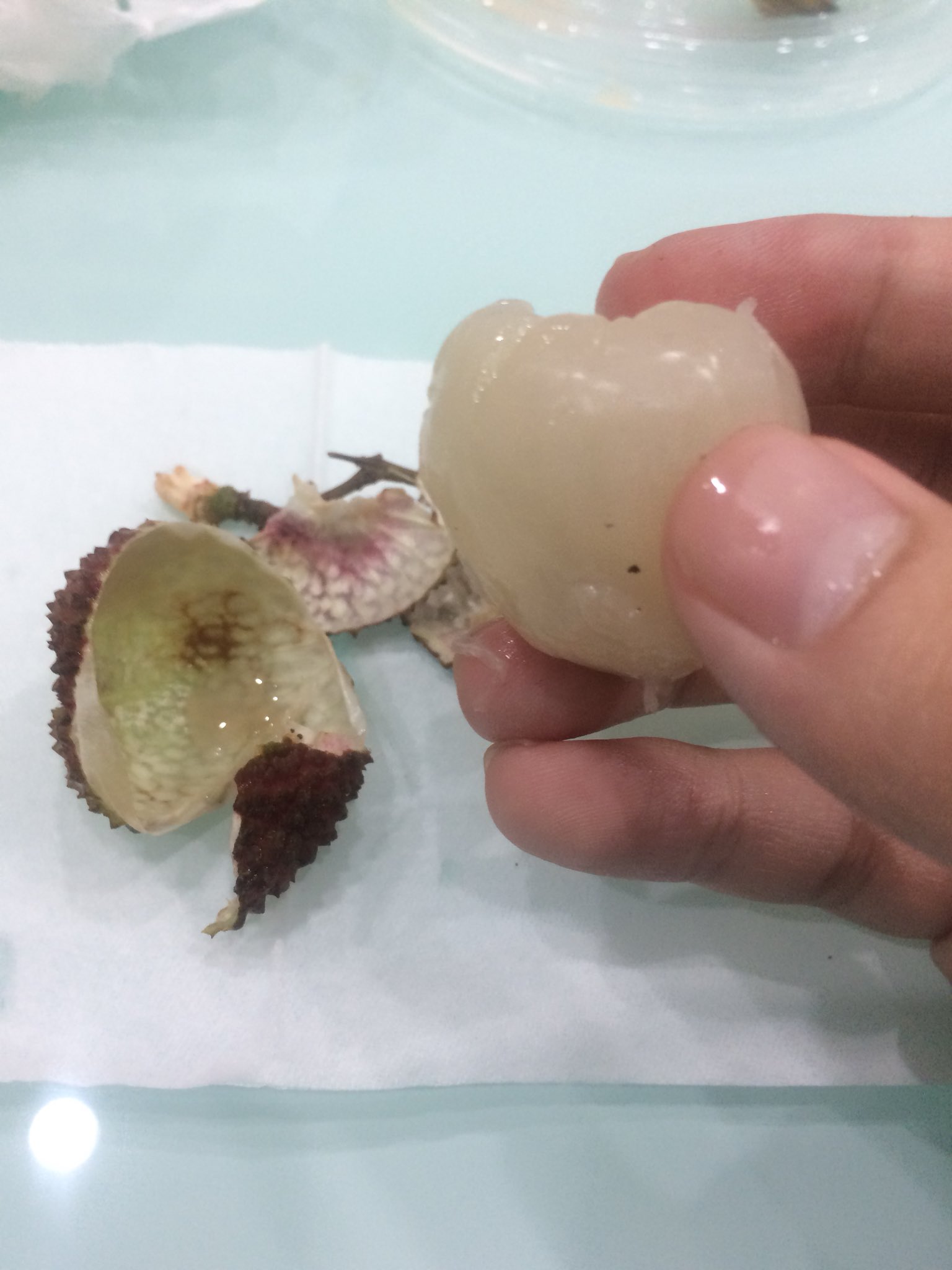 い死去けん 初めてライチ食ったけどヘルヘイムの果実みたいな見た目だな T Co Lgpfgcjdzo Twitter