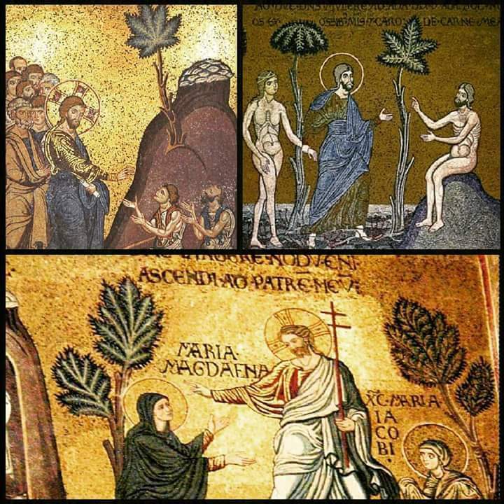 DrMesmer's tweet photo. 3 Houses of David all #Annointed with #CannaBlosom All still awaiting the return of #TheAnnointedOne #Cannabis is the most mentioned #Herb in the #HolyBible Good People DO Use #Marijuana Please Help @POTUS #Deschedule #DescheduleToday #GodBlessTheUSA #MAGA #MakeAmericaHempAgain https://t.co/nglSuFljYV