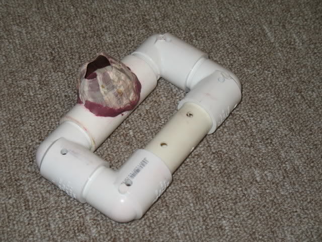 nano_reef's tweet photo. Some people build bird houses, but on https://t.co/IJM7PDhA5F, we build fish houses! Community member Stoney Waters' classic DIY Jawfish House how-to guide with lots of interesting ideas on building burrows for fish. https://t.co/MUEn3zIwJH #nanoreef #reefaquarium #saltwaterfish https://t.co/QyEkaQ3vsa