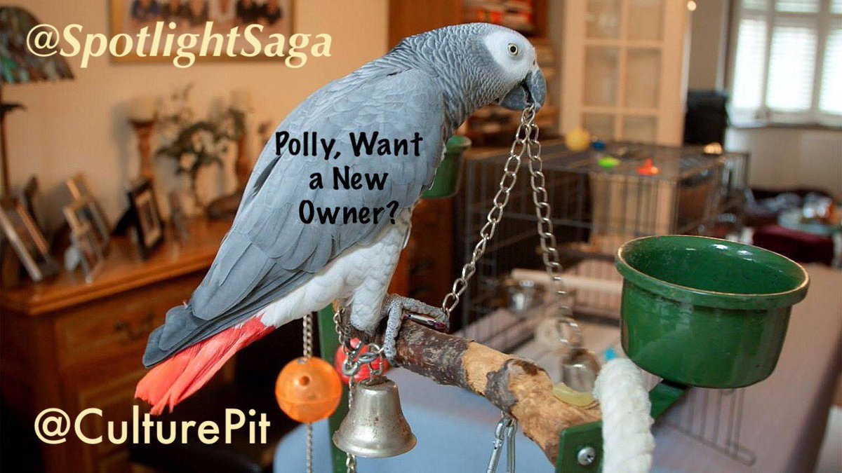 TheComradePink's tweet photo. Shows like this are great for animal lovers, new & old... Never hurts to have a few extra tips when it comes to caring for a pet, who is really a part of your family #NightmarePetsSOS @BBCOne https://t.co/wmTTIPHVCA