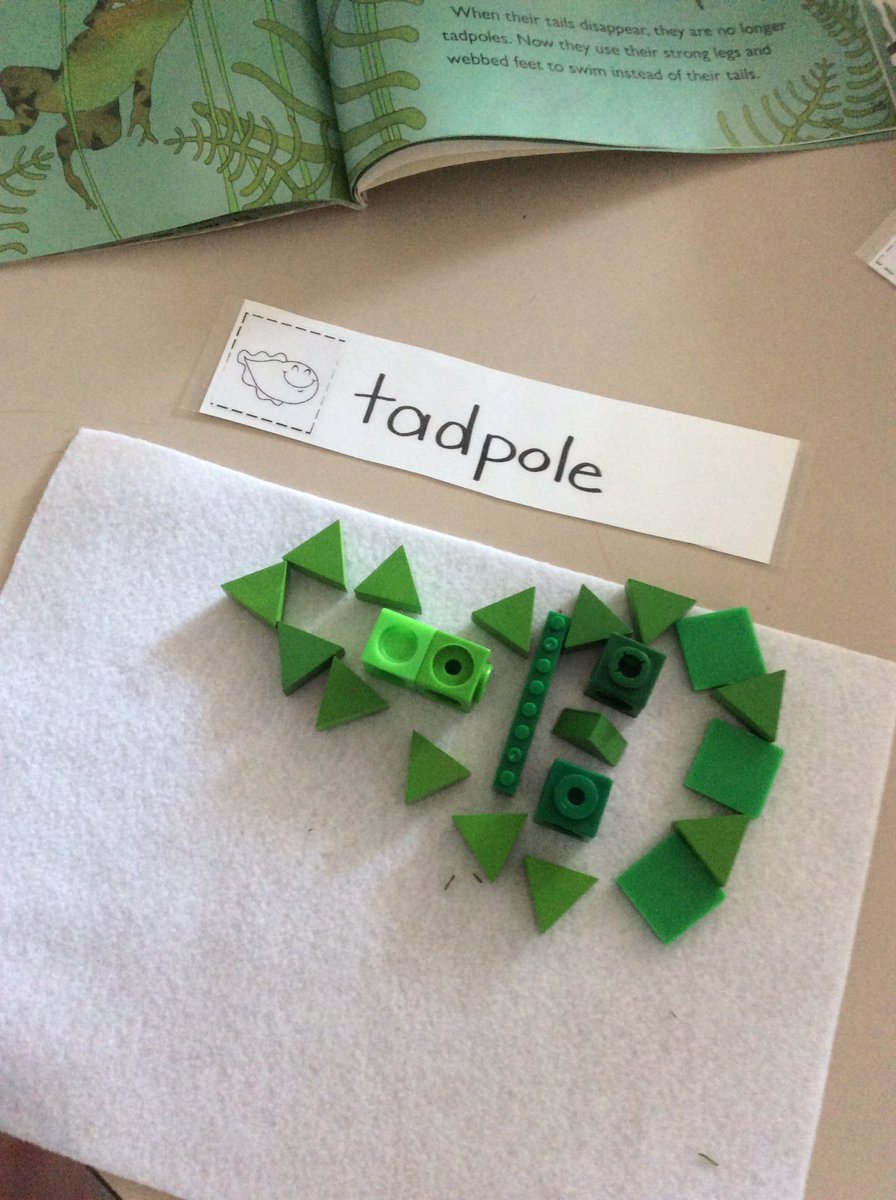 LisaDurepos's tweet photo. A different way to discuss the lifecycle of a frog. This challenge was tricky but the students all found different ways to attain their goals. @alcdsb_stms https://t.co/c1tJiV75o8