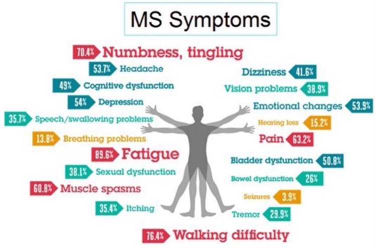 __itsjdanielle's tweet photo. a day in my life...🎗🧡
#MyStory #beatMS #WorldMSDay #ifightMS #MultipleSclerosis https://t.co/yQAgq8XlTV