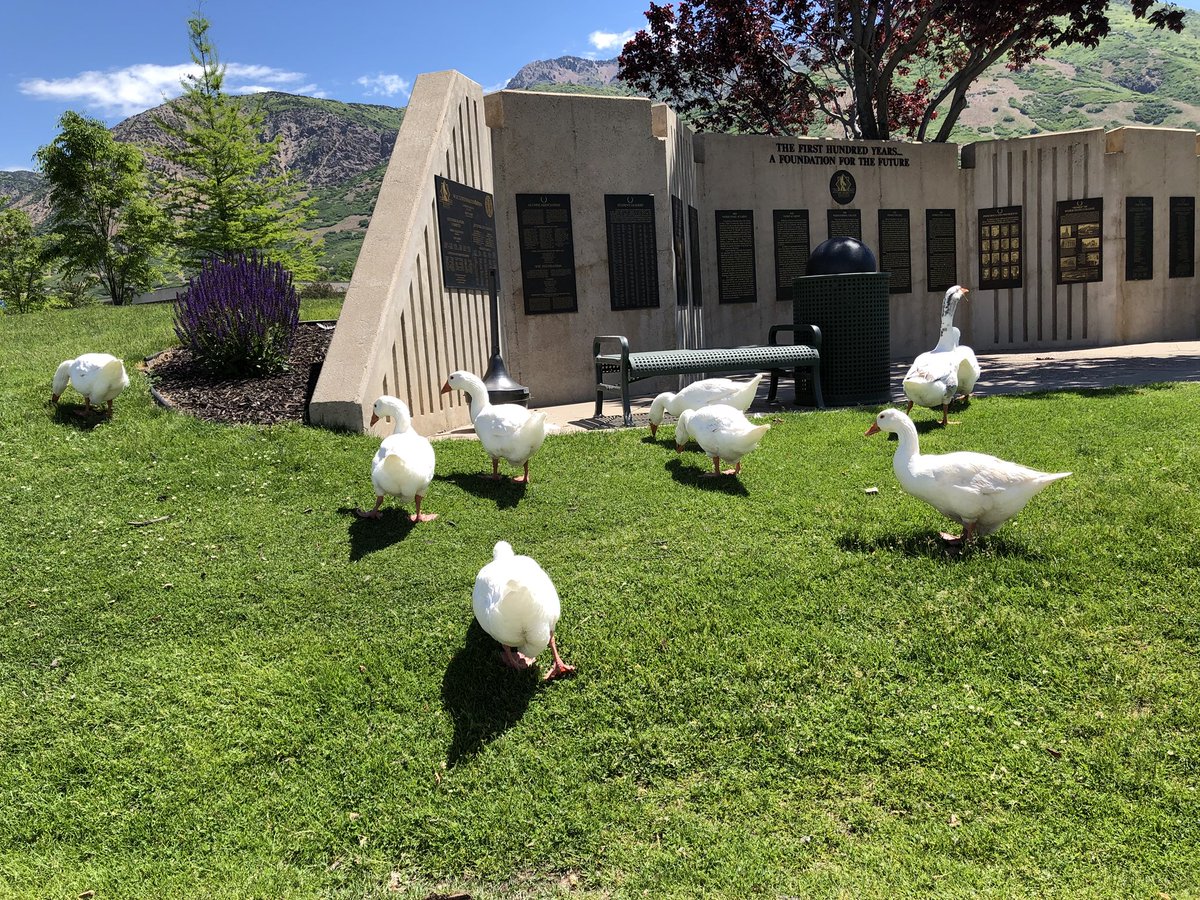 Riley Jensen tweet media