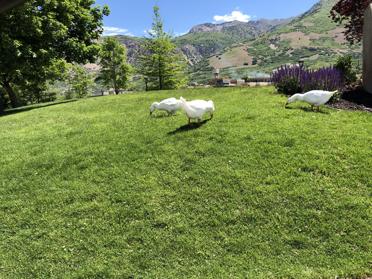 Riley Jensen tweet media