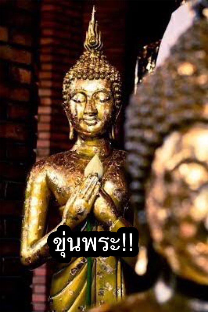 Eelzaclub's tweet photo. บุญไม่มี มีแต่ #มีมพระ https://t.co/0UaxecvAg4