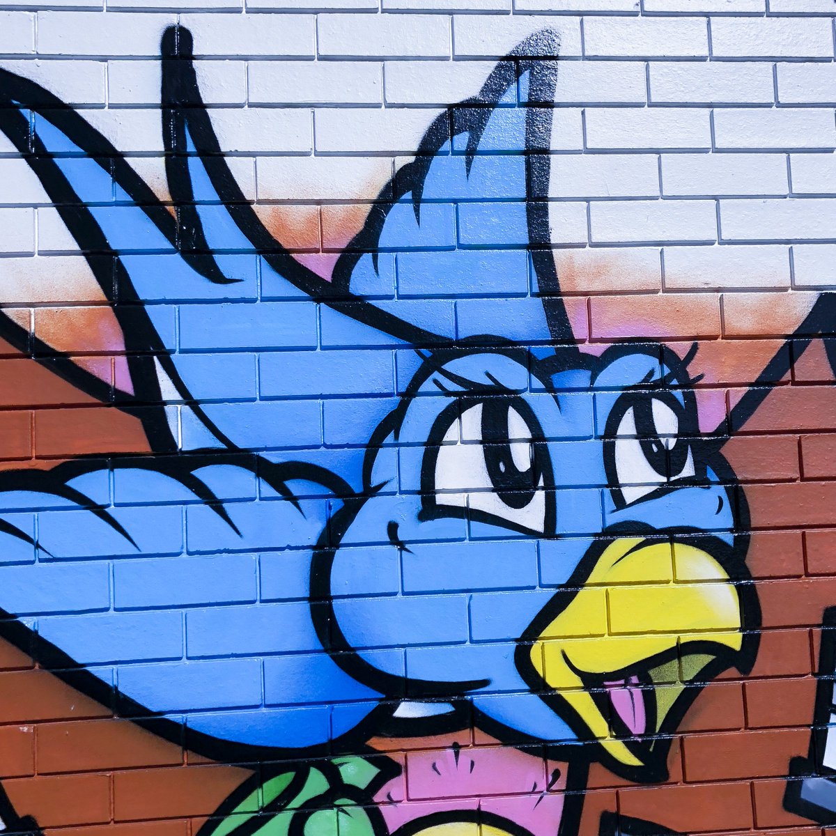 Squawk Digital tweet media