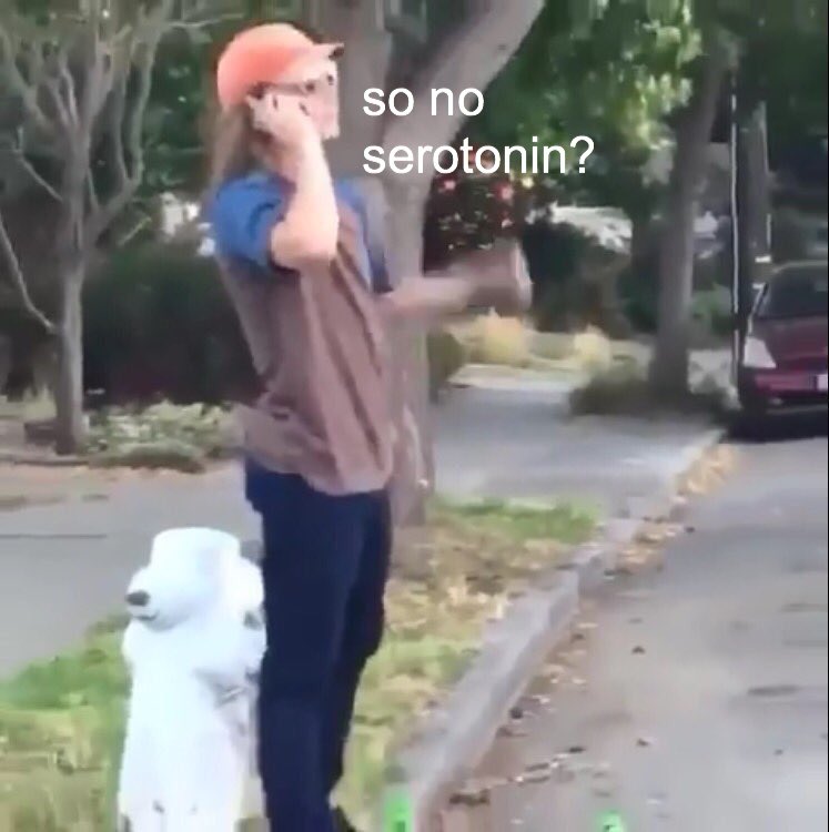 lgbtop's tweet photo. me talking to my brain https://t.co/nkHjh92sP6