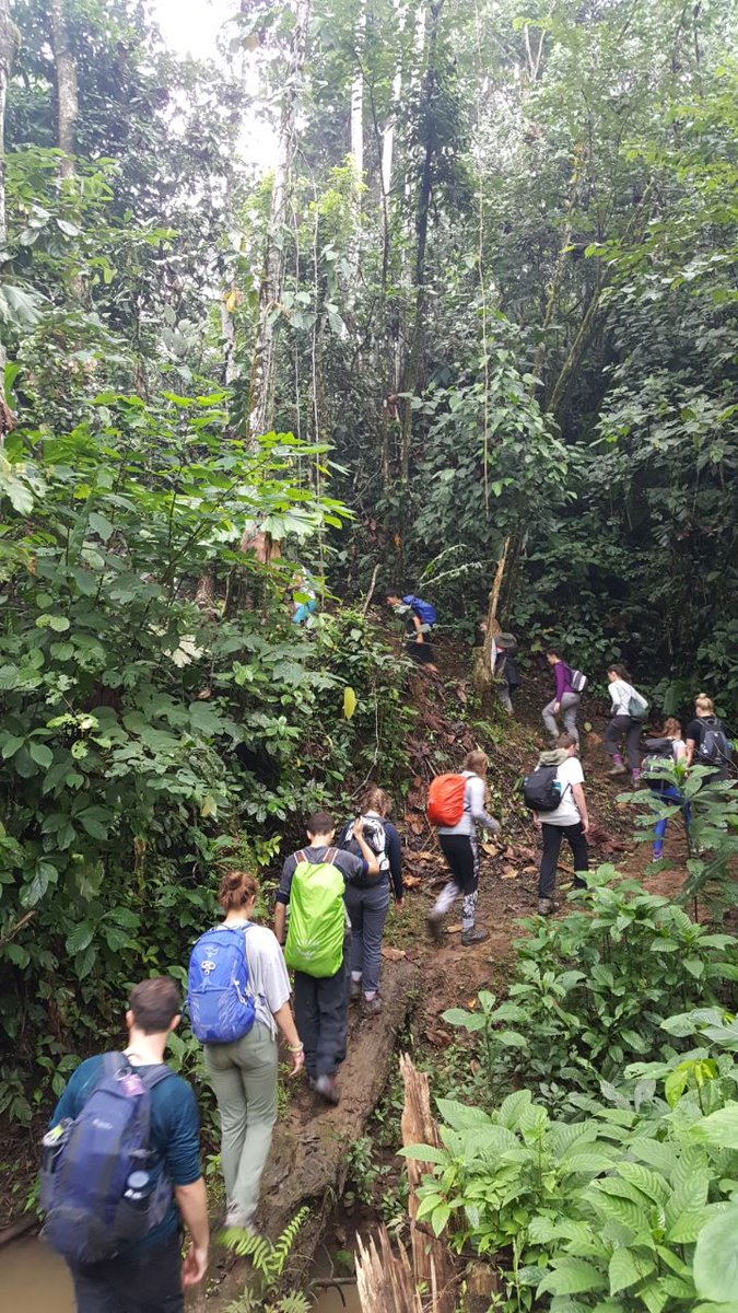 CampEcuador's tweet photo. #walks #work #travels #NatureExperience #CampEcuador is all that #DoSomenthingAmazing #CampsEffect @CampsInt https://t.co/6PfWkgBOcl