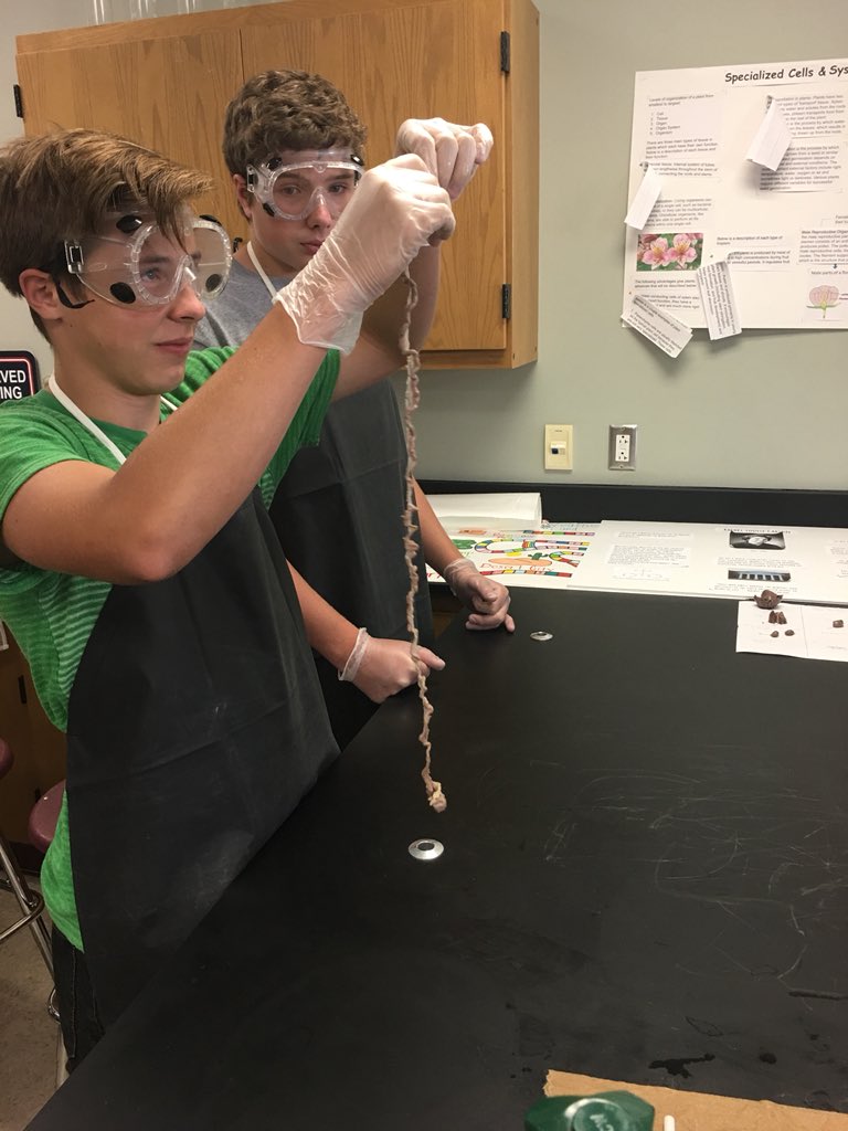 LSumrall72's tweet photo. Rat Dissection day in Biology! Yes, we are still in learning mode....😊 https://t.co/ll6sP6snPv