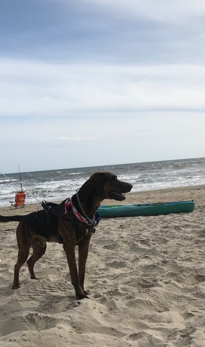 calstevens's tweet photo. Trying to hang on to that vacation glow. Miss the beach already... https://t.co/hXT38MGLw3
