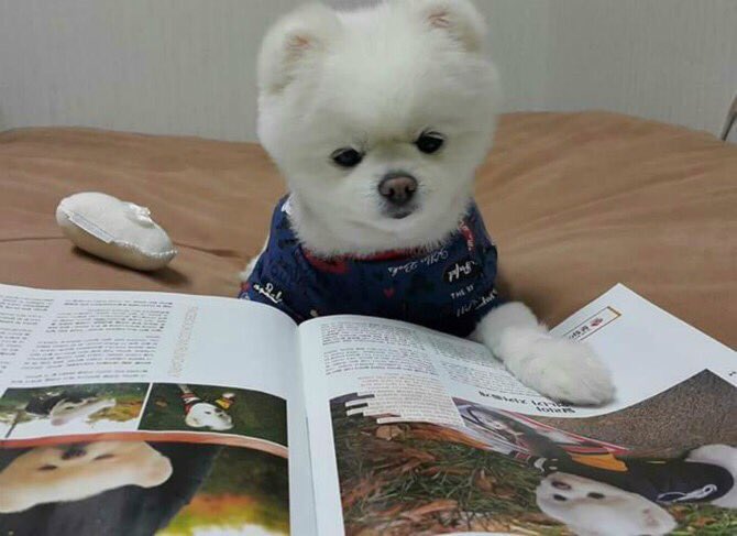 sunnybugie's tweet photo. 희희 내 얼굴이다😆 https://t.co/aCPWeLCBwe