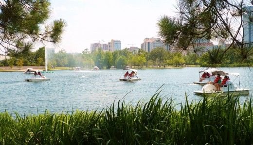 VisitHouston's tweet photo. @ChooseChicago @MFAH @artinstitutechi @DavidSchwimmer @HermannPark @Millennium_Park Ah, we should have definitely disclosed this before... our park has a lake IN it.

Come by, we’ll take you for a spin some time. #BattleOfTheBeans https://t.co/3Jii848gkr