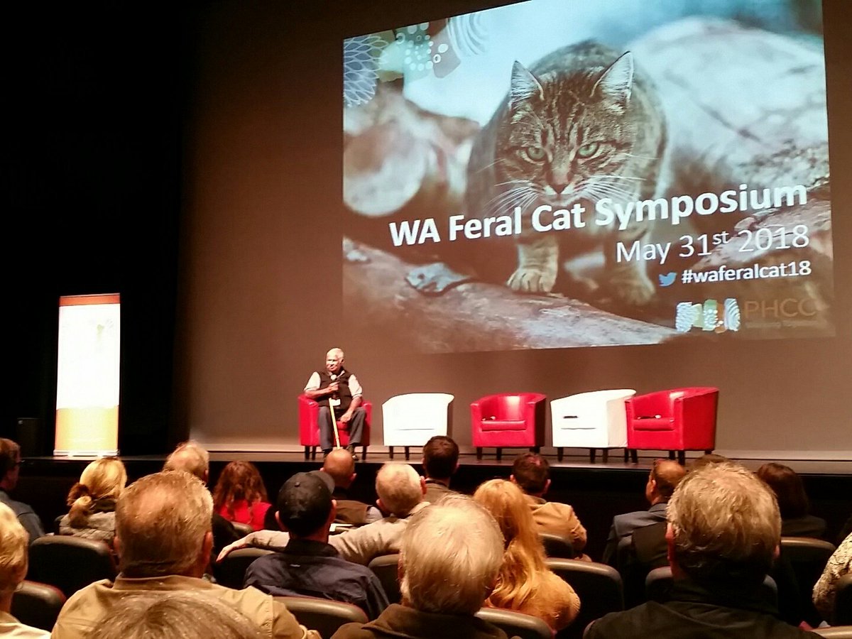 Andrew Del Marco tweet media