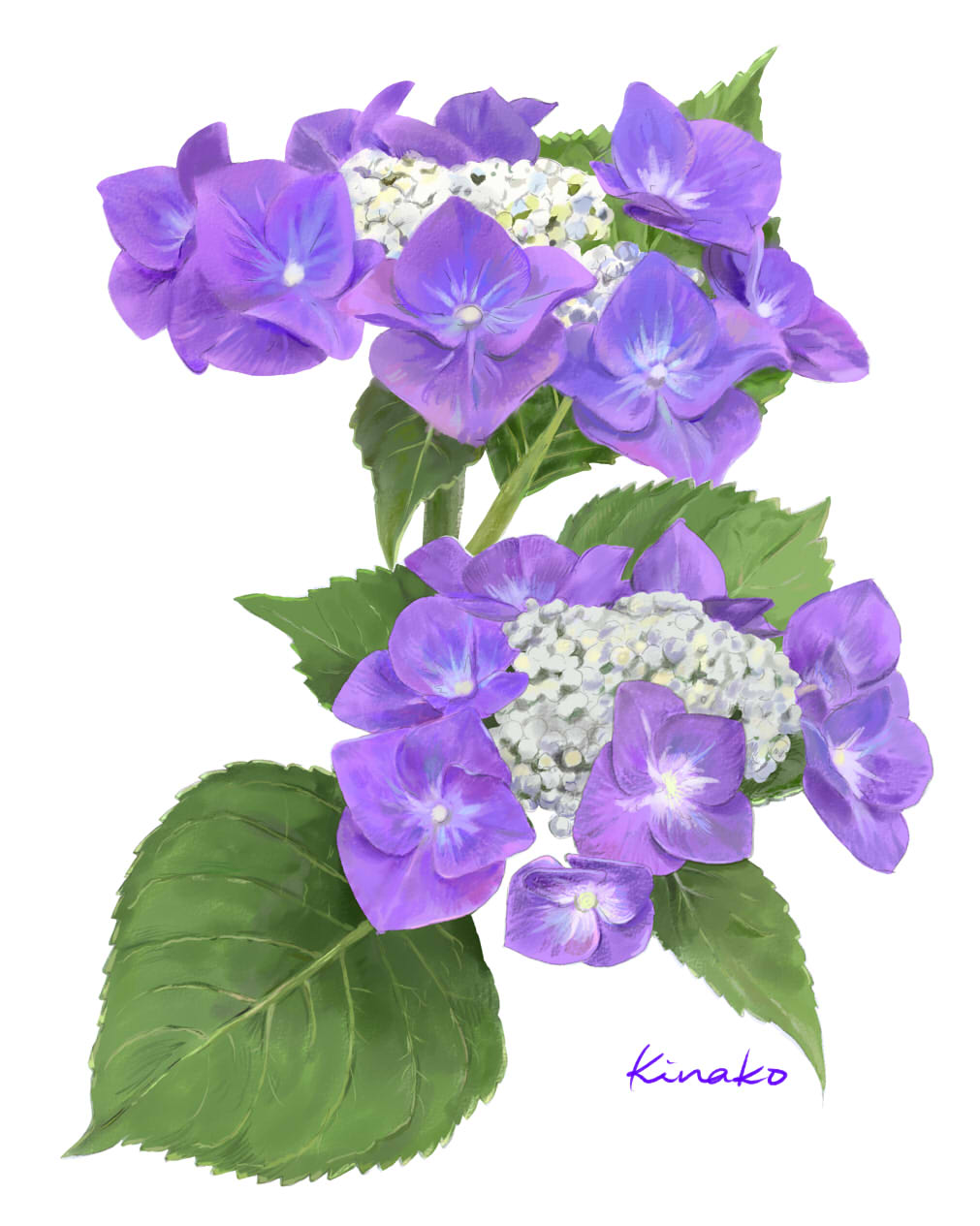 花絵 Twitter Search Twitter
