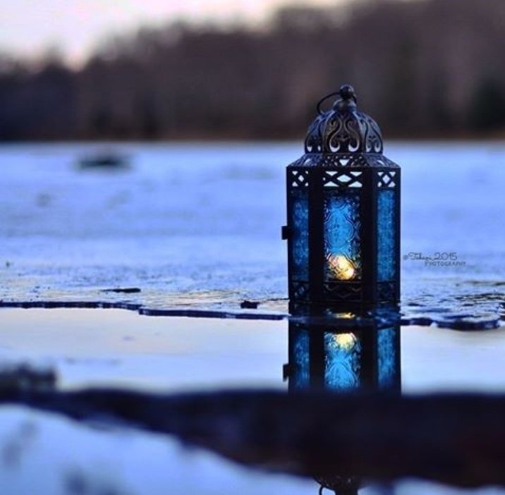 برق الشقردي tweet media