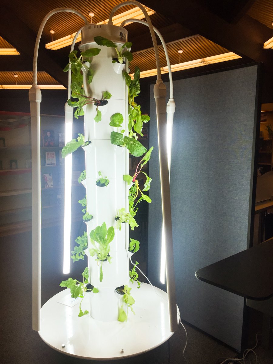 mwscheung's tweet photo. Really cool that @opl_bpo is partnering with @_GrowingFutures to promote food literacy and social entrepreneurship using indoor tower gardens https://t.co/ud7yz5HqMI
#librarylife https://t.co/H1xKdDoKtQ
