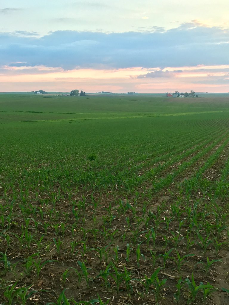 Agroyinc tweet picture