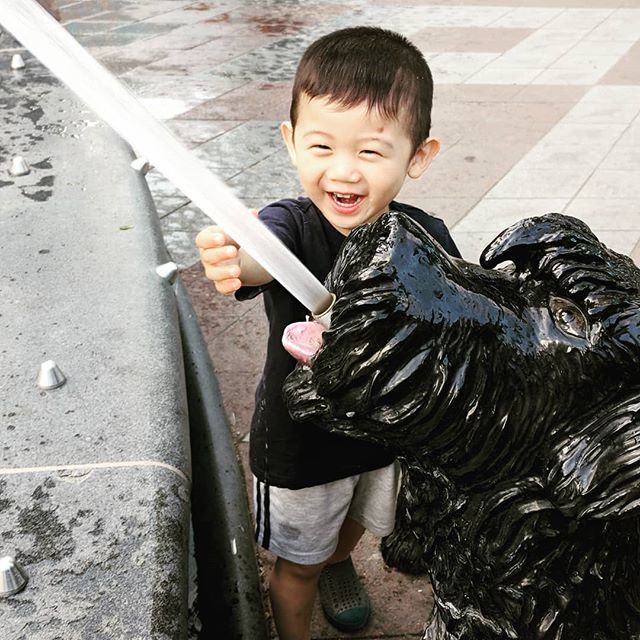 jennzia's tweet photo. It's officially summer! An after dinner trip down to the dog fountain and so much gleeful laughter just can't be beat. #100daysofJax https://t.co/9WBHm4IgX5 https://t.co/WMCrEnm8vZ