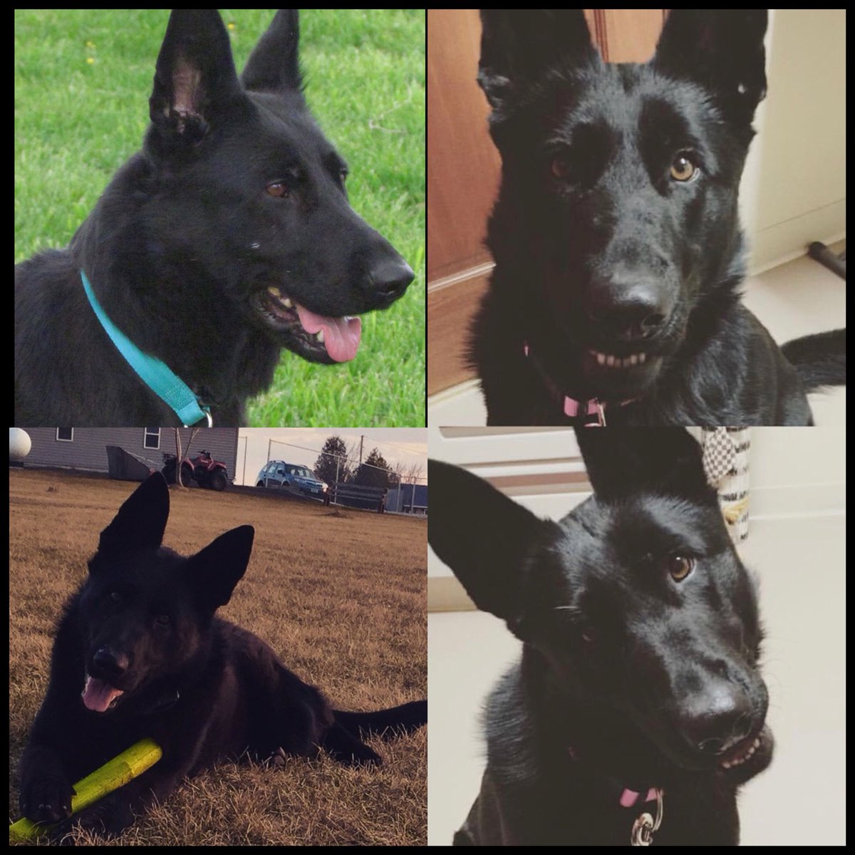 kellijo_'s tweet photo. PLEASE SHARE and help me find Jaz!!! https://t.co/yecV67uHmg