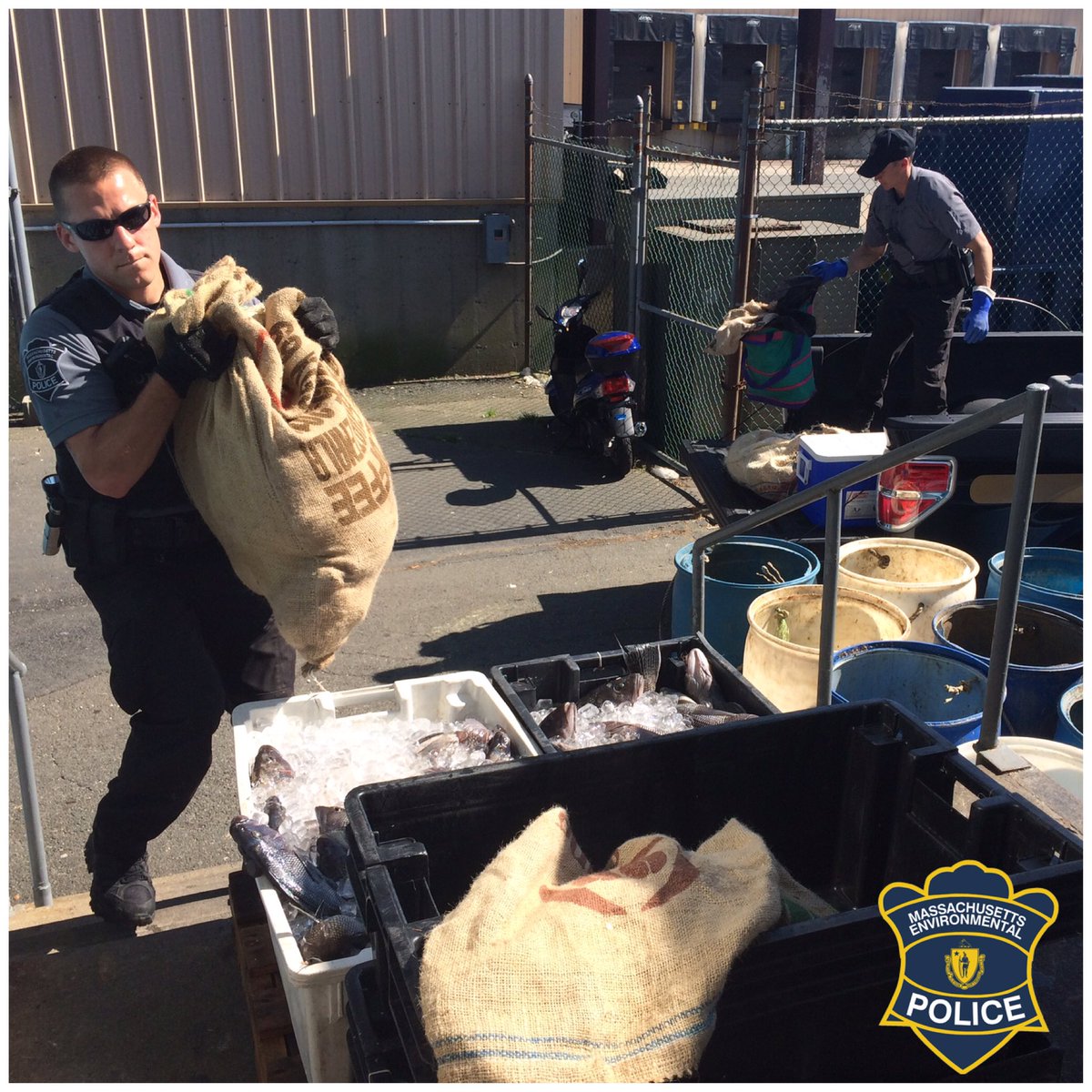 MAEnviroPolice's tweet photo. Officers inspect head boat in New Bedford, total catch found to be more than 600-pounds over legal limit. Illegal catch donated to New Bedford Salvation Army, multiple citations issued. https://t.co/9BzdhAICzz https://t.co/hvPGSUDhZA