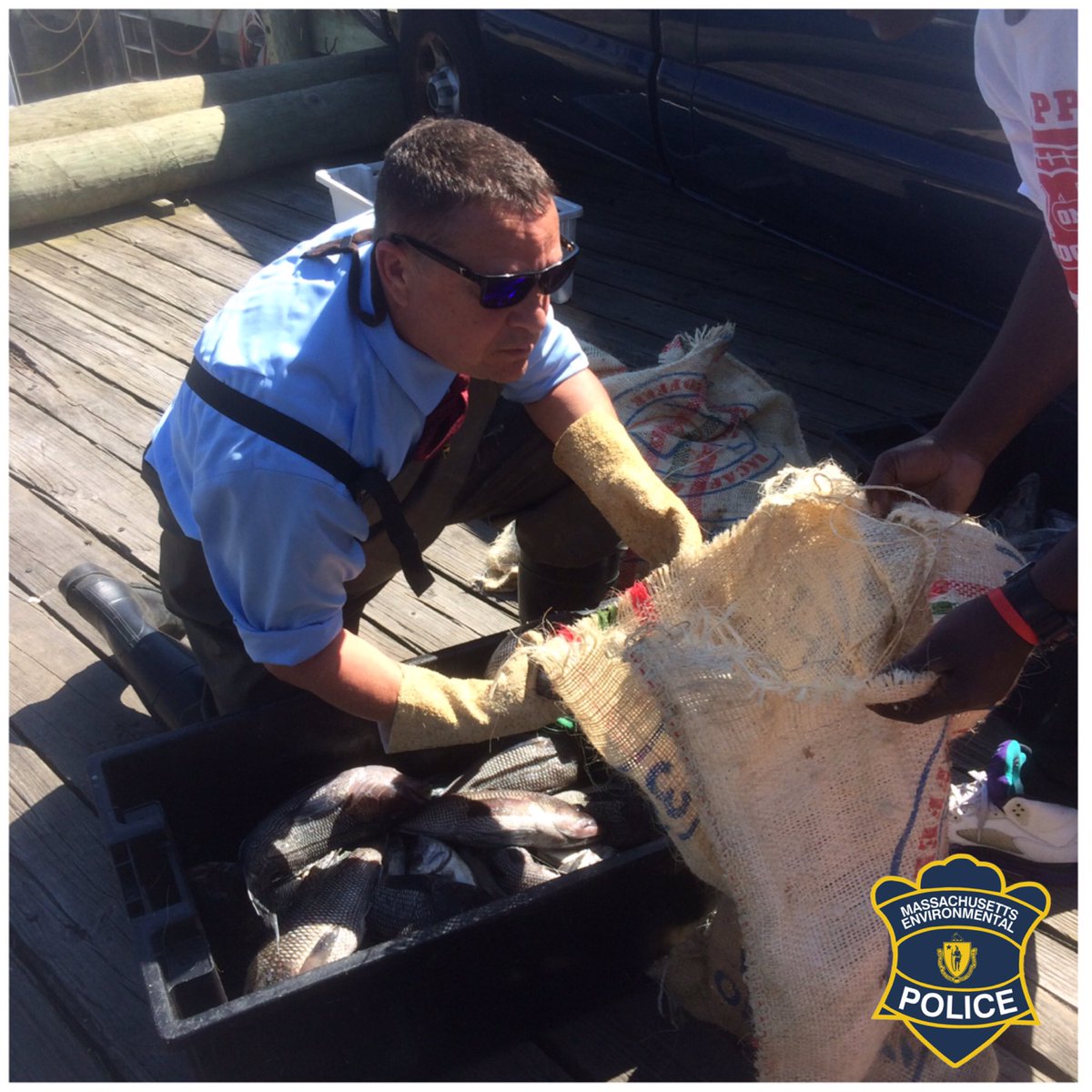 MAEnviroPolice's tweet photo. Officers inspect head boat in New Bedford, total catch found to be more than 600-pounds over legal limit. Illegal catch donated to New Bedford Salvation Army, multiple citations issued. https://t.co/9BzdhAICzz https://t.co/hvPGSUDhZA