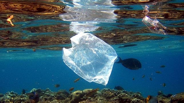 ErikSolheim's tweet photo. Bravo! Congratulations to Chile which has approved a nation-wide ban on single-use plastic bags. Bold step to #BeatPlasticPollution ahead of #WorldEnvironmentDay https://t.co/ohxyswh4K8 https://t.co/uZ9zuX7fTZ