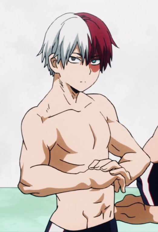 shoto todoroki no shirt