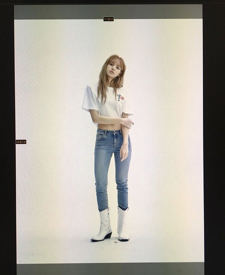 LISA fan account tweet media