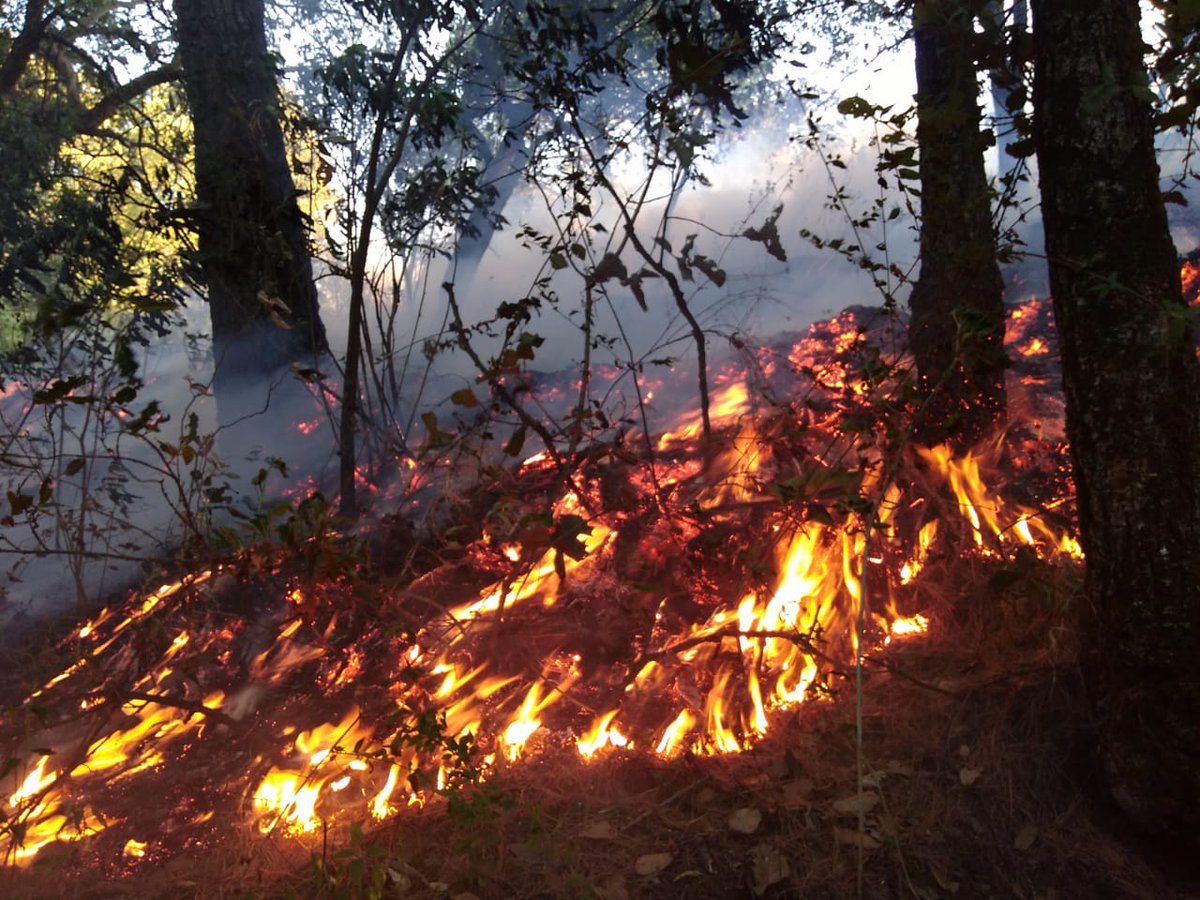 Personal de Servicios de Emergencia de #Cuajimalpa <a href="/Protcivilcuaji1/">Protcivilcuajimalpa</a> <a href="/CuajimalpaDERN1/">Recursos Naturales</a> <a href="/DGODU1/">D.G.O.D.U Cuajimalpa</a> y #BomberosCDMX combatieron un incendio en zona boscosa del poblado de San Pablo Chimalpa.
<a href="/joselpandal/">Jose Luis Pandal</a>