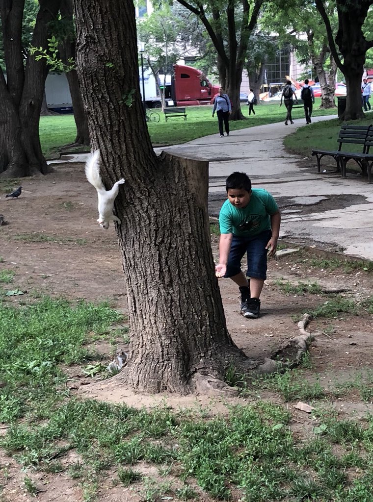 squirrelgandalf's tweet photo. @ajpankow @scottzipperle I can never truly be found. https://t.co/btOZ8yWqSj