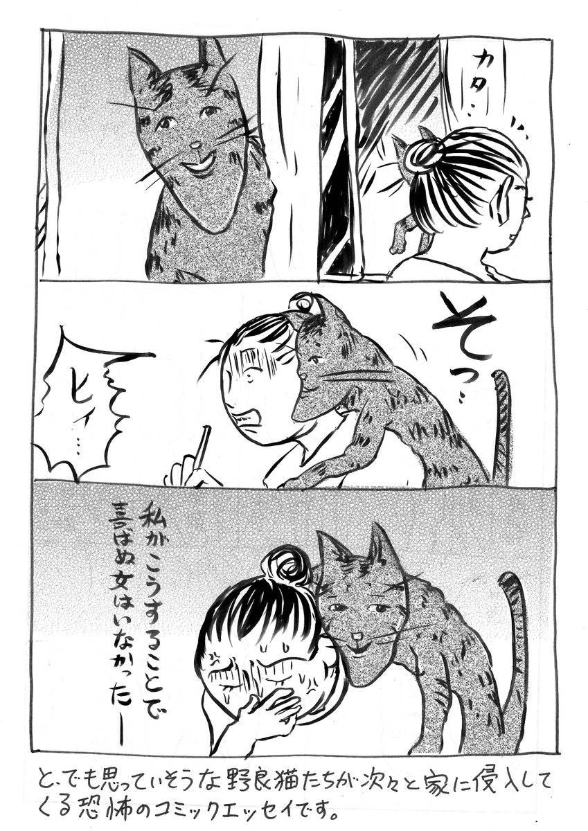 関口かんこ Twitter પર 飼ってない猫 第一巻発売から2週間たちました ハッシュタグ 飼ってない猫1巻 のプレゼント企画の締切りは本日24時までです まだ間に合う 今日の会社帰りに本屋へgo 連載中のコミックdaysブログはこちら T Co 09oix9iokc 関口かんこ Twitter પર 飼ってない猫 第一巻発売から2週間たちました ハッシュタグ 飼ってない猫1巻 のプレゼント企画の締切りは本日24時までです まだ間に合う 今日の会社帰りに本屋へgo 連載中のコミックdaysブログはこちら T Co 09oix9iokc