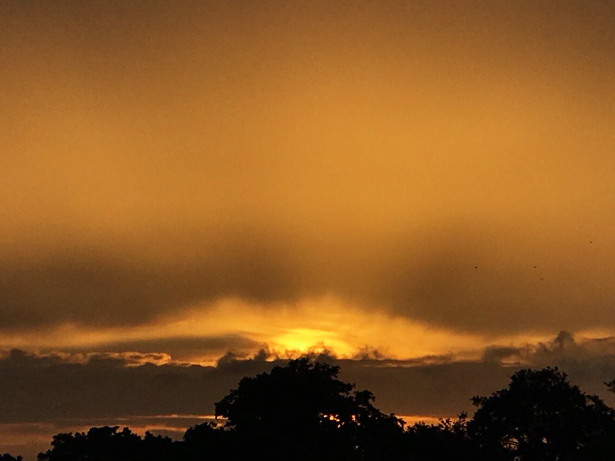 kenseysmom's tweet photo. Tale end of effects from Alberto. Started out with
cotton candy skies &
ended with a melty golden haze🌅
#SoFLSunset #StormHour https://t.co/32giYtGwnN