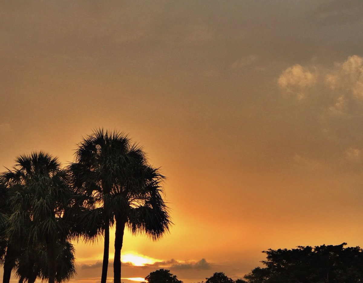 kenseysmom's tweet photo. Tale end of effects from Alberto. Started out with
cotton candy skies &
ended with a melty golden haze🌅
#SoFLSunset #StormHour https://t.co/32giYtGwnN