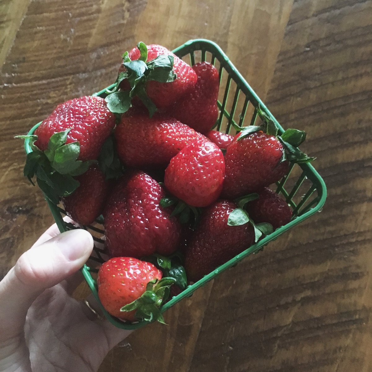 lindsayzv's tweet photo. It is so easy to love where I live when the first local strawberries appear! 🍓 #breakfast #lunch #dinner #goodthingsgrowinontario #strawberries #gloriousspring @AnnetteV_Market https://t.co/9akTiu6oRu