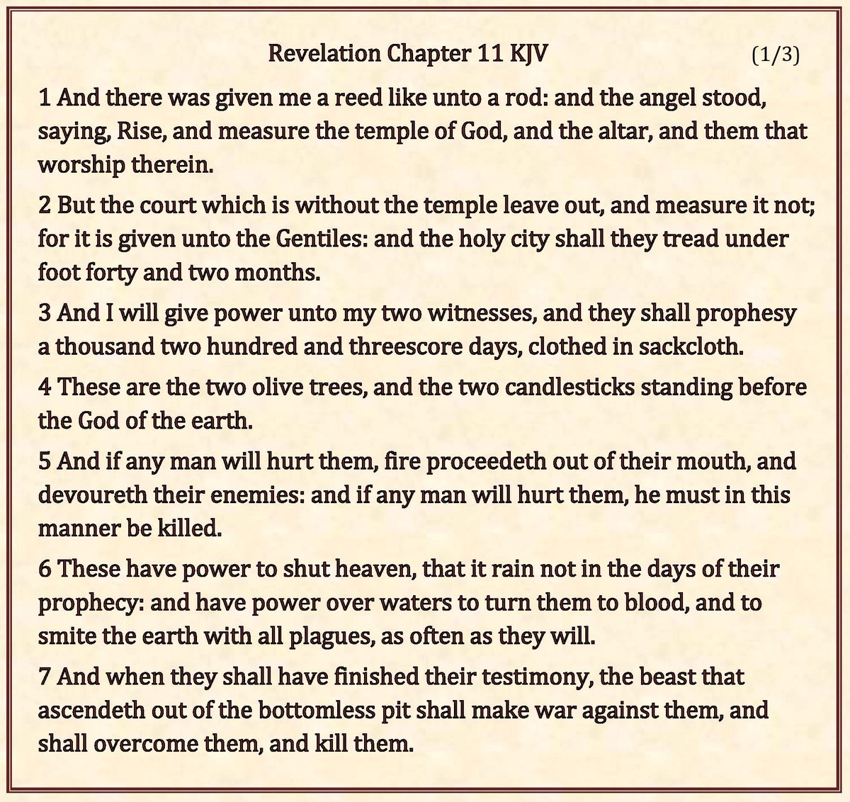 kingjamesonline's tweet photo. And I will give power unto my two witnesses, and they shall prophesy a thousand two hundred and threescore days, clothed in sackcloth. These are the two olive trees, and the two candlesticks standing before the God of the earth.
Revelation 11 (3/3) #TwoWitnesses #TwoOliveTrees https://t.co/0uUfL1RaXA