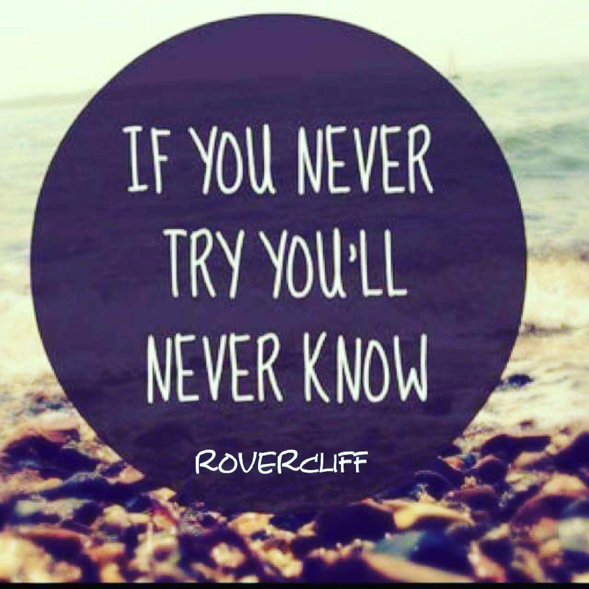 RoversCliff's tweet photo. #try #and #win #evenwecan #rovercliff https://t.co/0kmaYJ6BuV