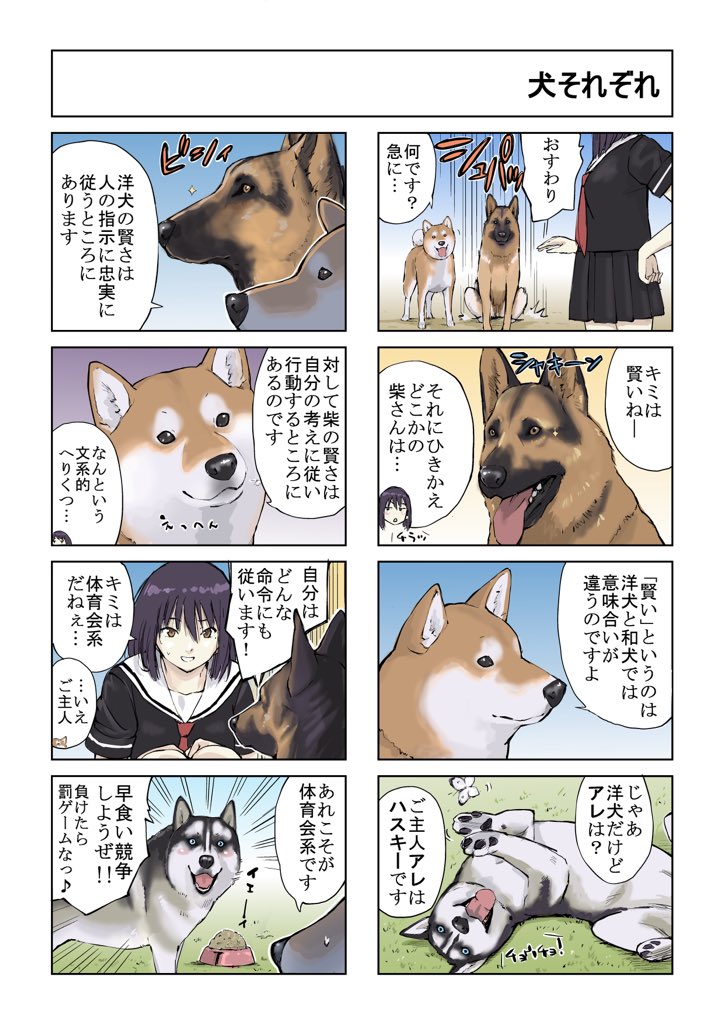 漫画 犬も性格それぞれ 洋犬と和犬の賢さの違いとは アホっぽいハスキーが可愛いｗ 話題の画像プラス