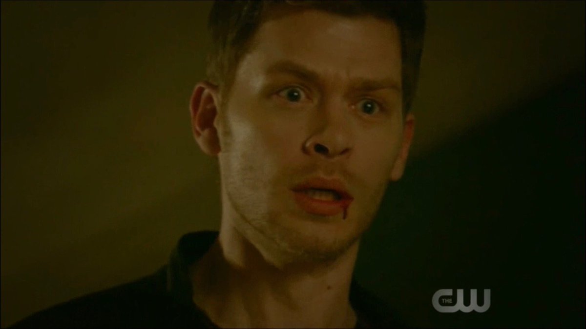 tinixfuck's tweet photo. eu não tenho mais lagrimas, eu só consigo pensar o quão Julie Plec é uma fodida
#TheOriginals #DirectorCMD #HayleyDeserveBetter https://t.co/ryJ7jcoomY