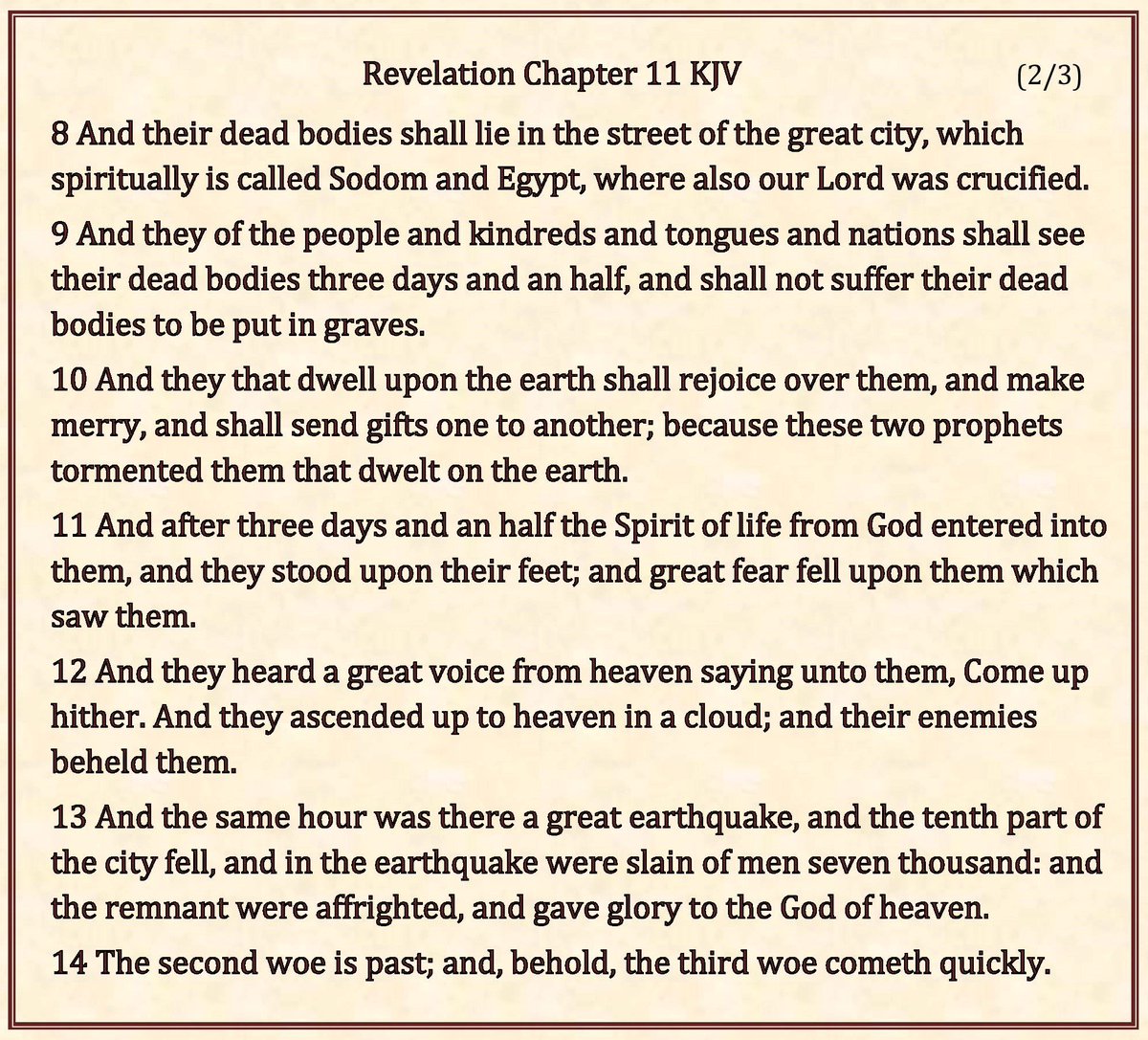 kingjamesonline's tweet photo. And I will give power unto my two witnesses, and they shall prophesy a thousand two hundred and threescore days, clothed in sackcloth. These are the two olive trees, and the two candlesticks standing before the God of the earth.
Revelation 11 (3/3) #TwoWitnesses #TwoOliveTrees https://t.co/0uUfL1RaXA