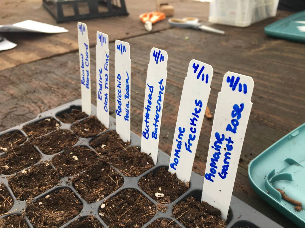 VTGardenNetwork's tweet photo. Gardening In Community https://t.co/V5XLjyub3f https://t.co/J8uCXt7yNO