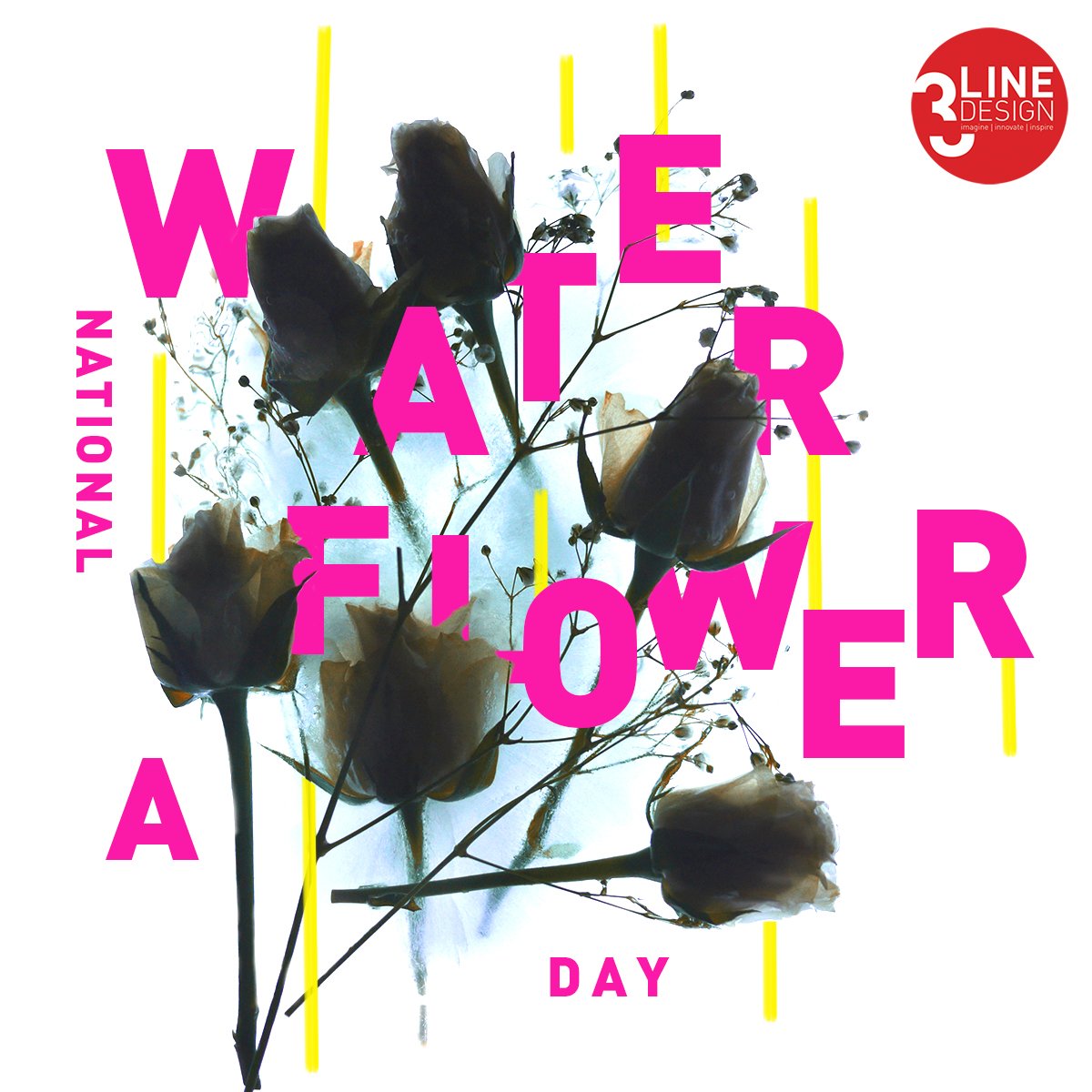3line_design's tweet photo. Earlier today we took a break &amp; walked around our office building to #appreciate the #flowers. As #designers, we pull inspiration from flowers more than we realize. Their beautiful colors, textures, &amp; fragrance have definitely been taken for granted, but that ends today! 🌷🌹🌺🌻 https://t.co/17YLBiSvcX